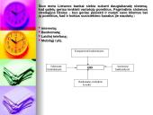 Elektroninė bankininkystė - privalumai bei trūkumai 3 puslapis