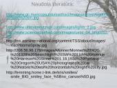 Elektros išlydis gamtoje ir technikoje 20 puslapis