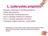 Elitas bei lyderystė 2 puslapis