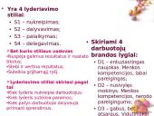 Elitas bei lyderystė 12 puslapis