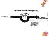 Elitas bei lyderystė 15 puslapis