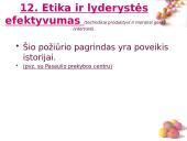 Elitas bei lyderystė 18 puslapis