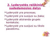 Elitas bei lyderystė 3 puslapis