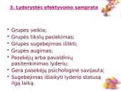 Elitas bei lyderystė 4 puslapis