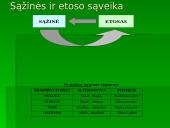 Etikos kryptys ir sąvokos 15 puslapis