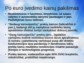 Euras ir infliacija 17 puslapis