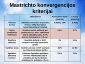 Euras ir infliacija 4 puslapis