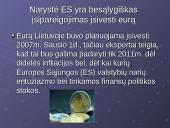 Euro įvedimo perspektyvos Lietuvoje 2 puslapis
