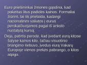 Euro įvedimo perspektyvos Lietuvoje 11 puslapis
