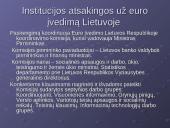 Euro įvedimo perspektyvos Lietuvoje 12 puslapis