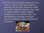 Euro įvedimo perspektyvos Lietuvoje 3 puslapis