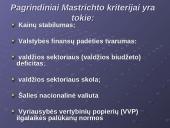 Euro įvedimo perspektyvos Lietuvoje 4 puslapis