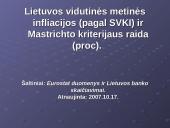 Euro įvedimo perspektyvos Lietuvoje 6 puslapis