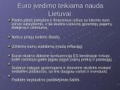 Euro įvedimo perspektyvos Lietuvoje 9 puslapis