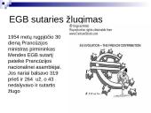 Europos Gynybos ir Politinės Bendrijų steigimo nesėkmė 12 puslapis