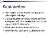 Europos Gynybos ir Politinės Bendrijų steigimo nesėkmė 13 puslapis