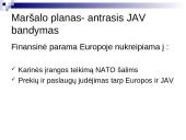 Europos Gynybos ir Politinės Bendrijų steigimo nesėkmė 4 puslapis