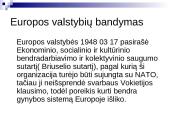 Europos Gynybos ir Politinės Bendrijų steigimo nesėkmė 6 puslapis