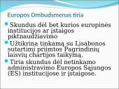 Europos ombudsmenas 5 puslapis