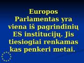 Europos Parlamentas (EP) 2 puslapis