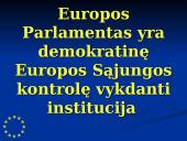 Europos Parlamentas (EP) 17 puslapis