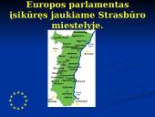 Europos Parlamentas (EP) 4 puslapis