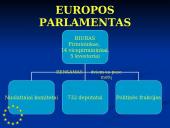 Europos Parlamentas (EP) 7 puslapis