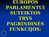 Europos Parlamentas (EP) 8 puslapis