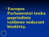 Europos Parlamentas (EP) 10 puslapis