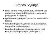 Europos Sąjunga (ES) - valstybių asociacija 4 puslapis