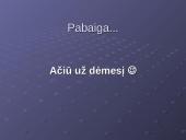 Europos sąjungos "Trijų ramsčių" struktūra 11 puslapis