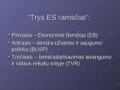 Europos sąjungos "Trijų ramsčių" struktūra 4 puslapis