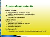 Europos Sąjungos (ES) konstituciniai pagrindai 11 puslapis