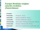 Europos Sąjungos (ES) konstituciniai pagrindai 12 puslapis