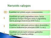 Europos Sąjungos (ES) konstituciniai pagrindai 14 puslapis