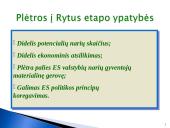 Europos Sąjungos (ES) konstituciniai pagrindai 17 puslapis