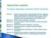 Europos Sąjungos (ES) konstituciniai pagrindai 7 puslapis