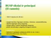 Europos Sąjungos (ES) konstituciniai pagrindai 9 puslapis