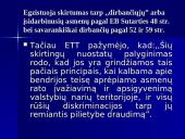 Europos Sąjungos pilietybė teisiniu aspektu 19 puslapis