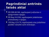 Europos Sąjungos pilietybė teisiniu aspektu 20 puslapis