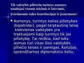 Europos Sąjungos pilietybė teisiniu aspektu 4 puslapis