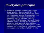 Europos Sąjungos pilietybė teisiniu aspektu 9 puslapis