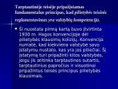 Europos Sąjungos pilietybė teisiniu aspektu 10 puslapis