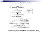 Europos Sąjungos ir valstybių-kandidačių derybos dėl narystės 11 puslapis