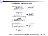 Europos Sąjungos ir valstybių-kandidačių derybos dėl narystės 14 puslapis