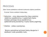 Europos Teisingumo Teismas (ETT) 16 puslapis