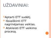 Europos Teisingumo Teismas (ETT) 3 puslapis