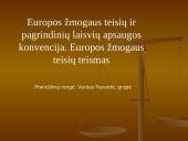 Europos žmogaus teisių ir pagrindinių laisvių apsaugos konvencija. Europos žmogaus teisių teismas