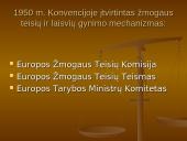 Europos žmogaus teisių ir pagrindinių laisvių apsaugos konvencija. Europos žmogaus teisių teismas 4 puslapis