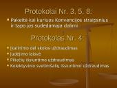 Europos žmogaus teisių ir pagrindinių laisvių apsaugos konvencija. Europos žmogaus teisių teismas 7 puslapis
